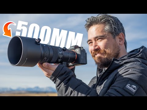 Sigma 500mm f/5.6 DG DN Sport Review: This Might Be The PERFECT Telephoto!