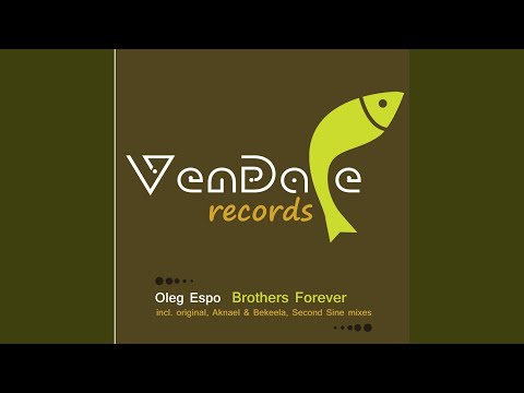 Brothers Forever (Original Mix)
