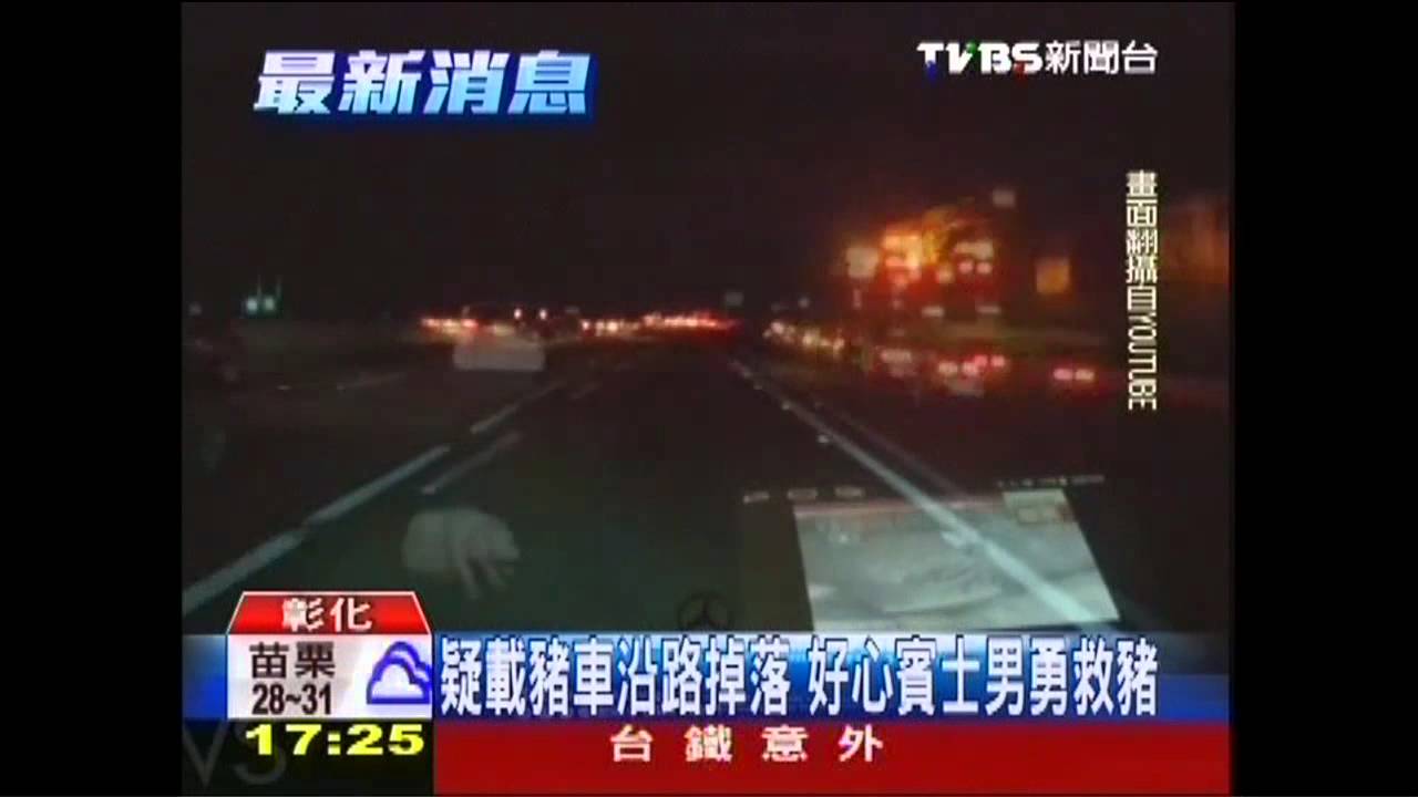 仔豬摔落國道 好心車主擋車抱豬救命