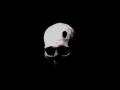 Martin Dupont - " just because " ( coldwave ...