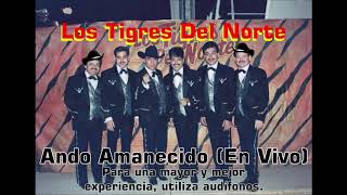 Ando Amanecido-Los Tigres Del Norte EN VIVO 1999 ¡Usa audífonos para una mayor y mejor experiencia!