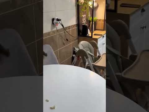 The Clingiest Squirrel Ever