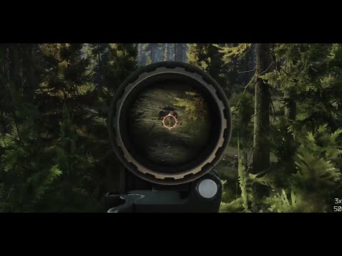 one of the best spots on woods - Escape from Tarkov