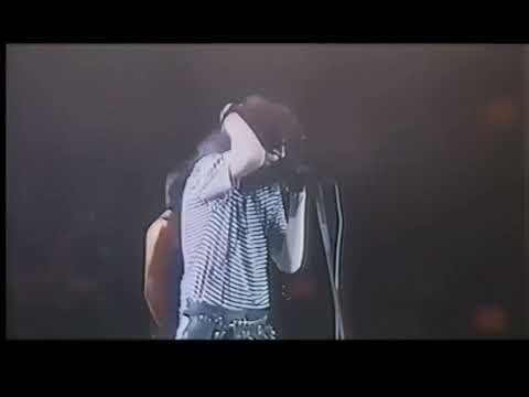 The Ramones & Red Hot Chili Peppers at Provinssi Rock, June 4, 1988, Hillel Slovak's last footage