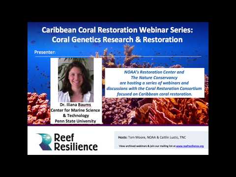 Coral Genetics Research and Restoration