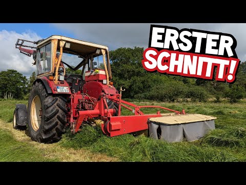 LET'S GO! | HAY HARVEST WITHOUT HAY WEATHER! | IHC 633 with PZ CM186 | First cut | Mr. Moto