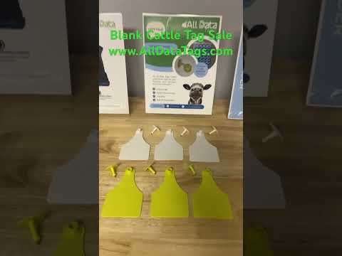 All Data Tags, SALE Visual Blank Tags. Large visual tag white or yellow 25 per bag