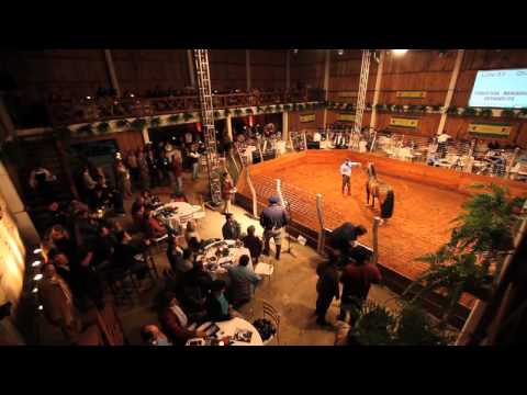 Reconquista Remate 2012