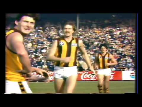 1983 Round 9 Carlton Highlights - Carlton vs Hawthorn