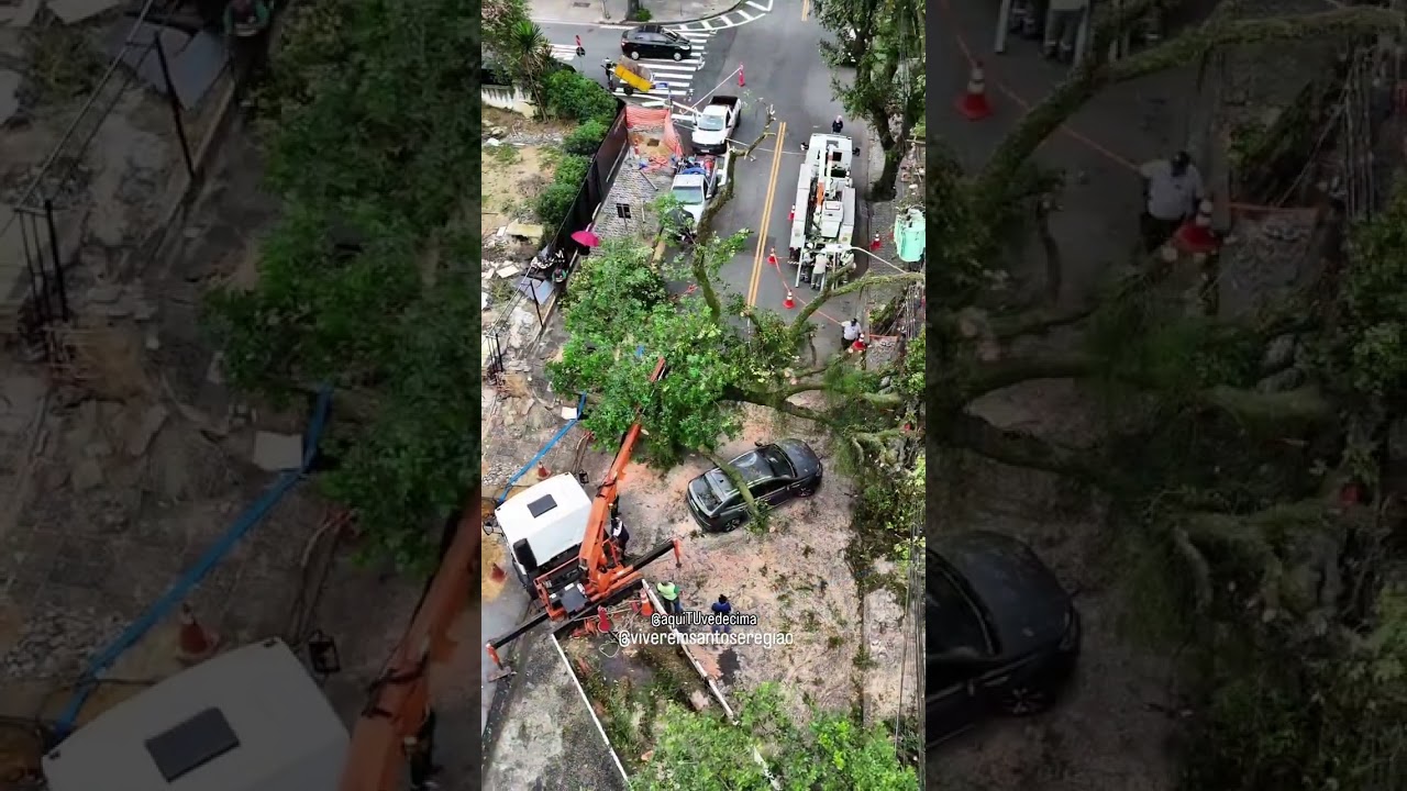 Forte ventania derruba árvore sobre carro no Boqueirão, em Santos.