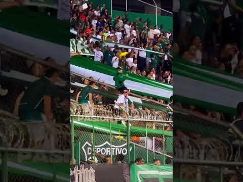 "Daría la vida por salir campeón - Hinchada Deportivo Cali " Barra: Frente Radical Verdiblanco &bull; Club: Deportivo Cali
