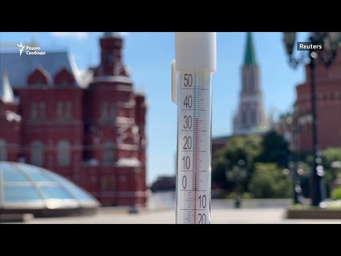 Жара как новая реальность: пришло ли уже глобальное потепление?