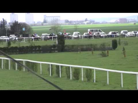 BR, 18. 4. 2015, 3. dostih - CENA Václav Kubík, spol. s r.o.