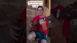 Até os pássaros cantaram