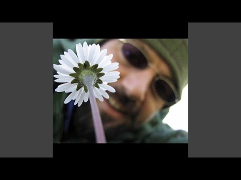 Dare/Avere (Debit and Credit)