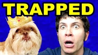 TRAPPED in MY DOG&#39;S COMMERCIAL: Ting