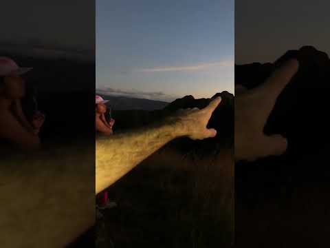 Amanecer en PICACHOS de OLÁ 🇵🇦 | #panama #panamá #cocle #ola