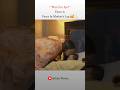 Mother S Pure Love 🥹 ️ Zehri Writes 2 Status Shorts Explore Sara Love