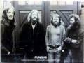 Fungus - Kaap'ren Varen 