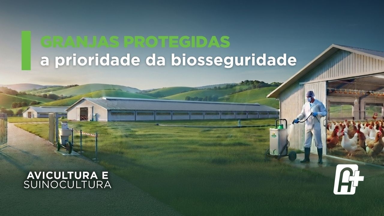 Mercado de Ovos: Consumo e Biosseguridade com Nélio Hand (IOB) | Avicultura e Suinocultura