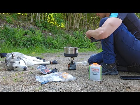 Norway in lenght, 3000km hike with siberian husky #1