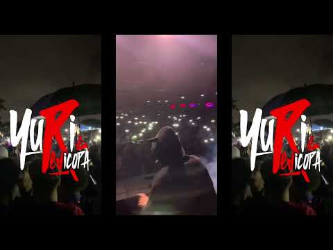 AMIZADE COLORIDA - Yuri Redicopa e Mc Pipokinha (Dj Fury)