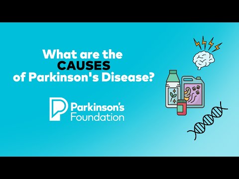 What are the Causes of Parkinson's Disease?