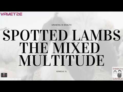 Torah Portions Week 7: Vayetze Genesis 28:10-32:2 Jacob’s Ladder, Leah & Rachel, Birth of 12 Tribes.