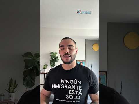 Conoce Tus Derechos En La Corte