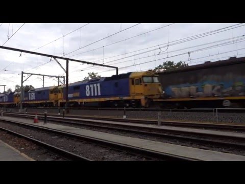 Triple 81's with 4124 sugar/cement train - 11/3/16