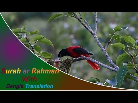 Surah ar Rahman full | মন জুড়ানো সুরে সূরা আর রহমান (আরবি-বাংলা)