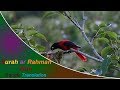 Surah Ar Rahman Full মন জুড়ানো সুরে সূরা আর রহমান �