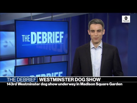 The Debrief Virginia Leadership Crisis Alleged Russian Agent In Her Own Words Abc News