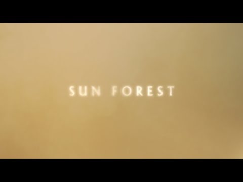 Nick Cave and The Bad Seeds - Sun Forest (Official Lyric Video)
