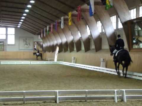 NPZ/Bern CC/B1 21.05.10, Dressur