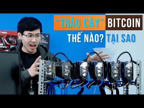 &quotTrâu cày&quot Bitcoin trông thế nào? Tại sao phải dùng VGA?TNC Channel