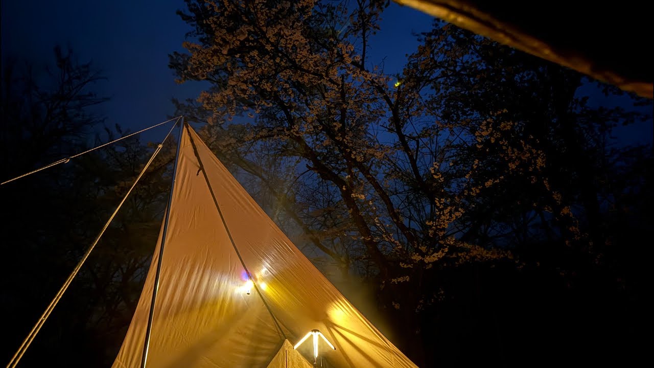 【ライブ配信】雨と桜の下でキャンプの夜の雑談配信 in 御坂路さくら公園