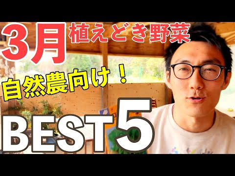 3月に菜園にどの果物野菜を植えるか 春の最初の月に何を蒔くか