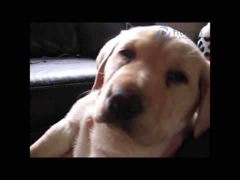 Just for Fun Behind the scenes of the next When I Say Jump HIIT Workout