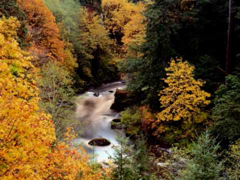 Amazing autumn colors - INESSA GALANTE "Per la gloria d'adoravi" (Griselda) Bononcini-