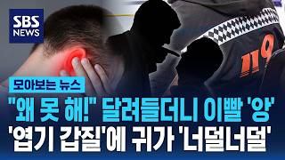 왜 못 해! 달려들더니 이빨 '앙'..'엽기 갑질'에 귀가 '너덜너덜' / SBS / 모아보는 뉴스