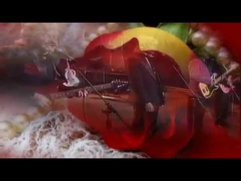 Po ten kwiat czerwony