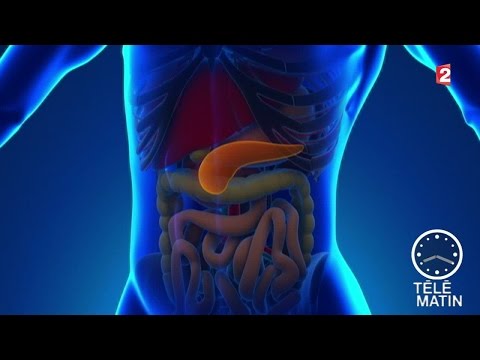 Santé - Prévenir le cancer du pancréas - 2015/11/09