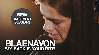 Blaenavon, &#39;My Bark is Your Bite&#39;&#39; - NME Basement Sessions