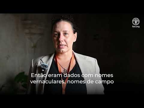 Renata Francoso, Servicio Forestal Brasileño (Brasil)