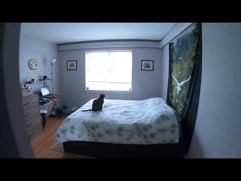 Llanfair - Video 2 of 2