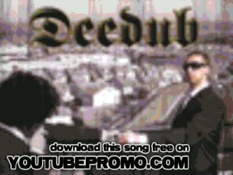 deedub - Perseverance - The New Age of Enlightenment V