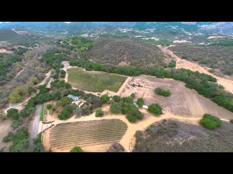 Vineyard- Ranch I Fallbrook I $5,999,000