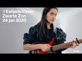 The Tunnel — Eefje de Visser - Zwarte Zon (live)