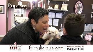 Furrylicious